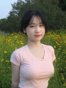 A片免费旁不雅视频不卡