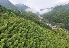 来丛林里！寻宝藏！